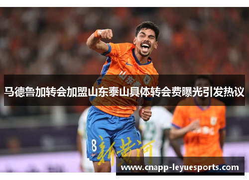 马德鲁加转会加盟山东泰山具体转会费曝光引发热议