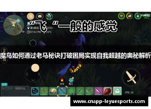 魔鸟如何通过老马秘诀打破困局实现自我超越的奥秘解析