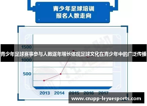 青少年足球赛事参与人数逐年增长体现足球文化在青少年中的广泛传播