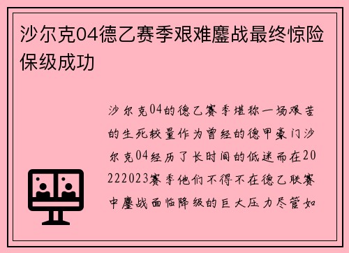 沙尔克04德乙赛季艰难鏖战最终惊险保级成功